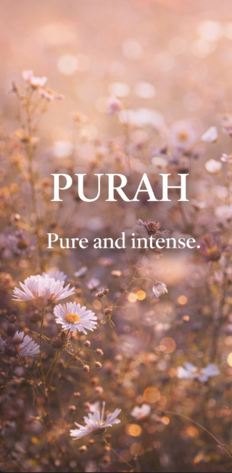 THE ICON – Purah 50ml (unisex) - Rí Na Fragrance 